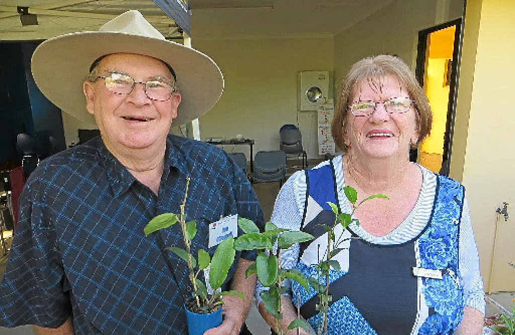 HAPPY HOYAS: Don and Lil O’Donnell with their new hoyas, will host the June meeting of the horticultural society at their Fisher Rd home. HAPPY HOYAS: Don and Lil O’Donnell with their new hoyas, will host the June meeting of the horticultural society at their Fisher Rd home.